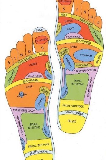 reflexology bristol